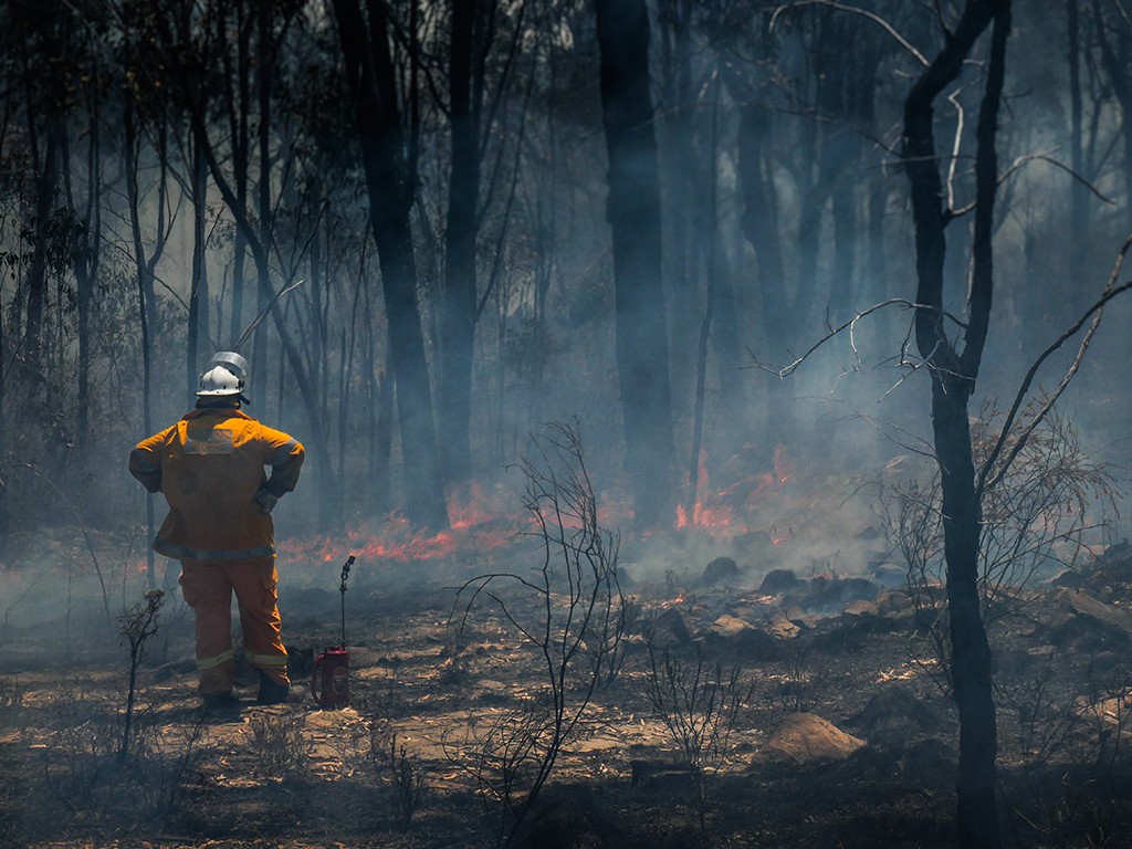 The impact of bushfires on the workplace