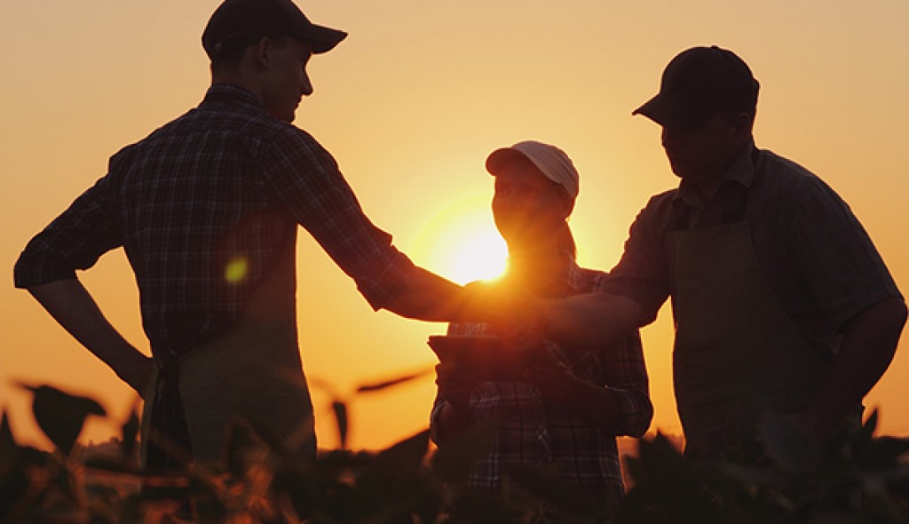 Fresh Advice Across The Board