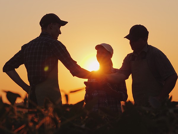 Advisory Boards Agribusiness