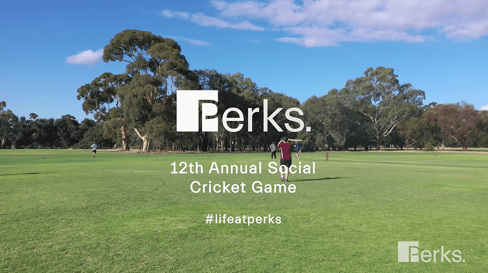 Perks Annual Social Cricket Game